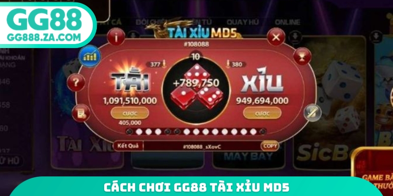 Cách chơi GG88 tài xỉu md5