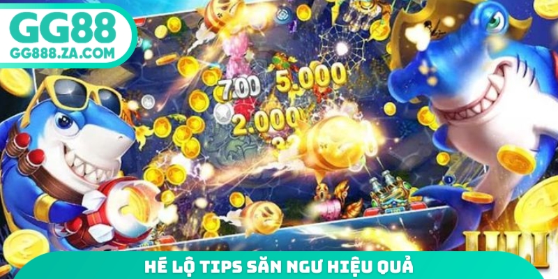 H&eacute; lộ tips săn ngư hiệu quả