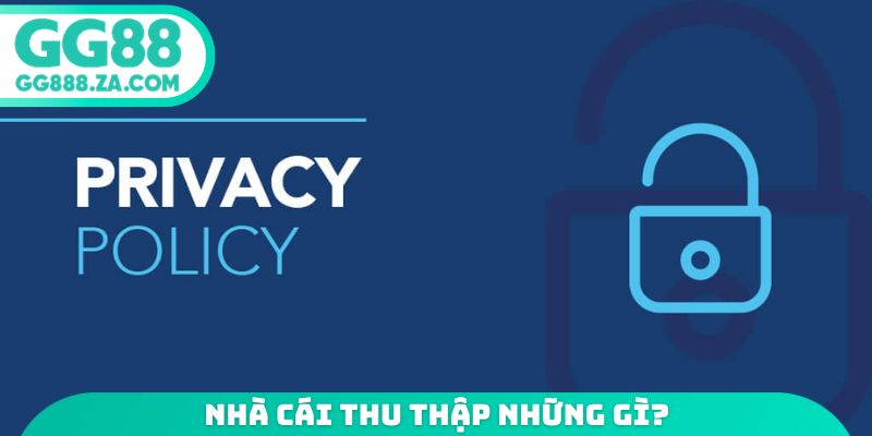Nhà cái thu thập những gì?