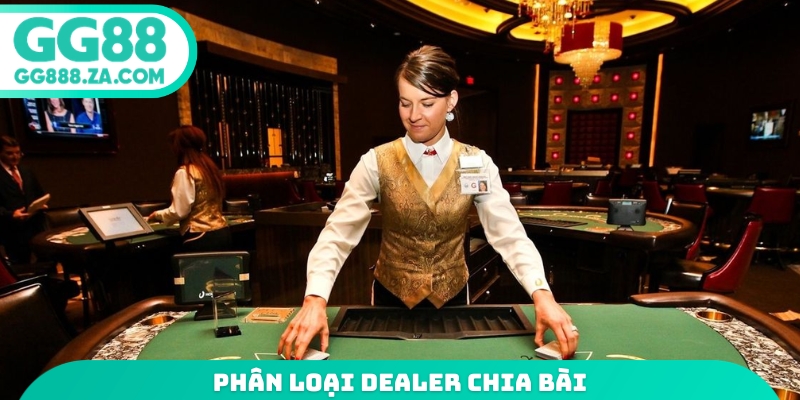 Phân loại dealer chia bài