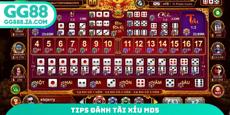 Tips đánh tài xỉu md5
